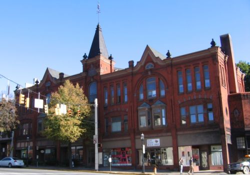 Bhca Bush Arcade