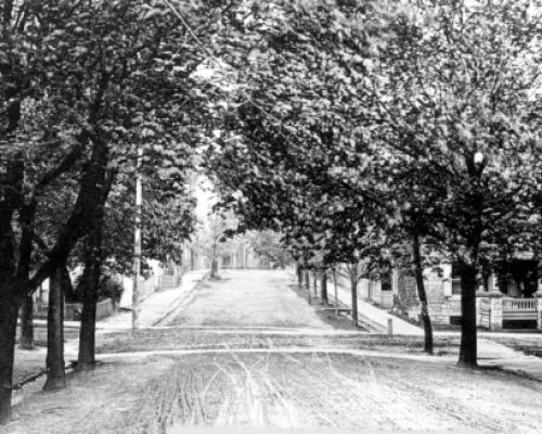 Ehoward Lookingw1